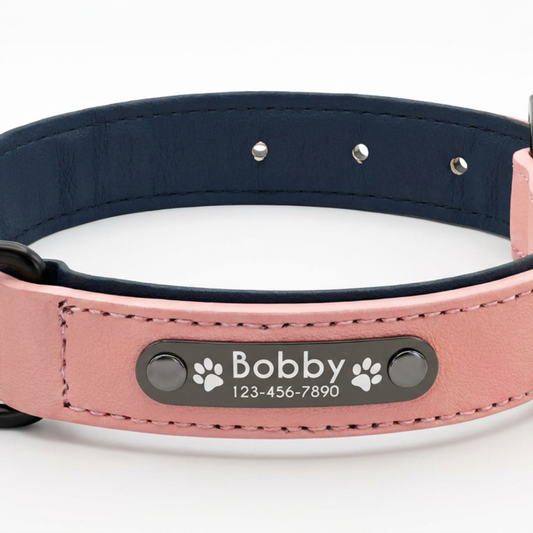 Collier cuir pour chien personnalisable