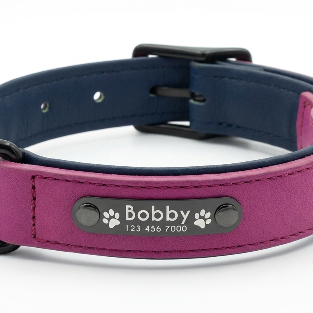 Collier cuir pour chien personnalisable