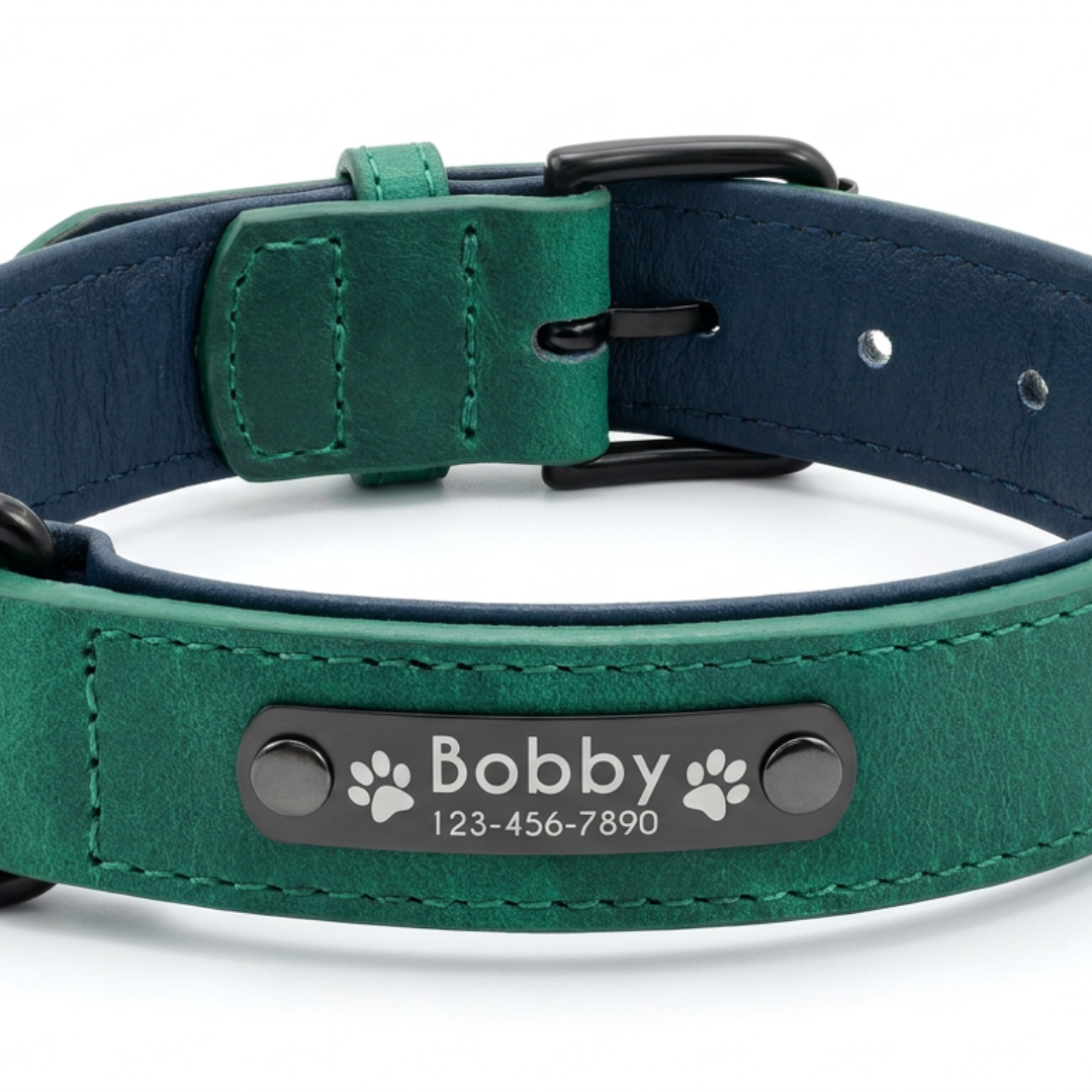 Collier cuir pour chien personnalisable