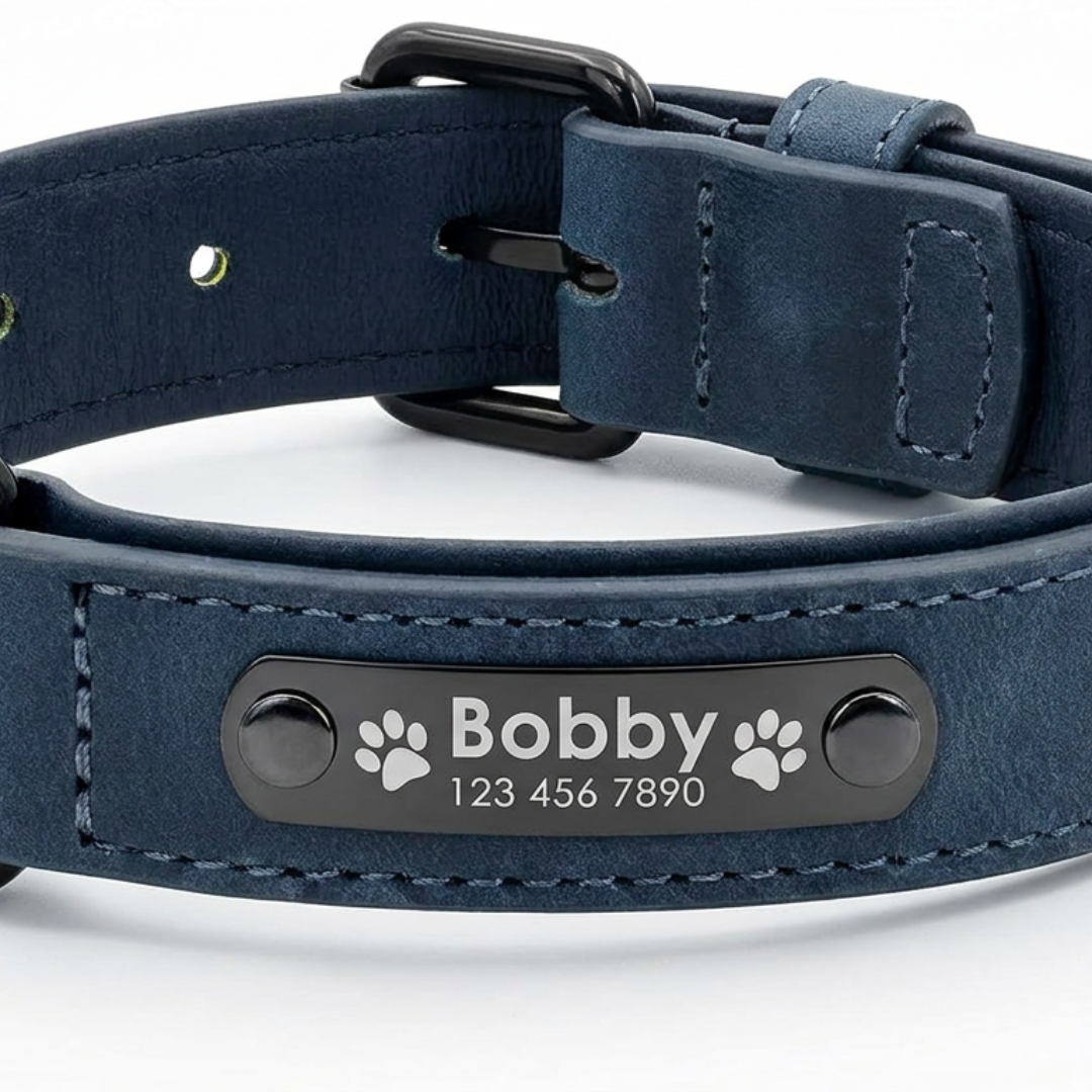 Collier cuir pour chien personnalisable