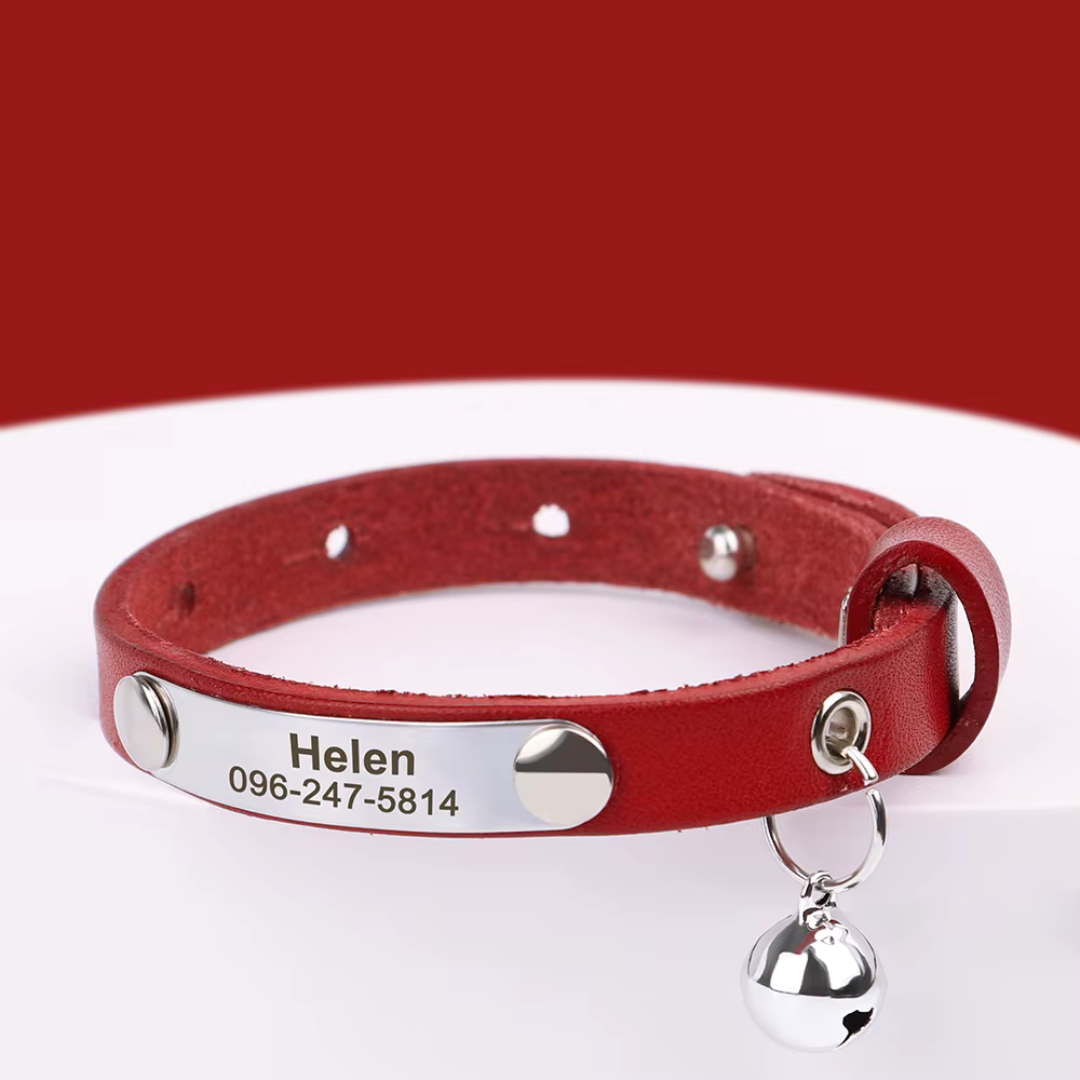 Collier cuir pour chat personnalisable