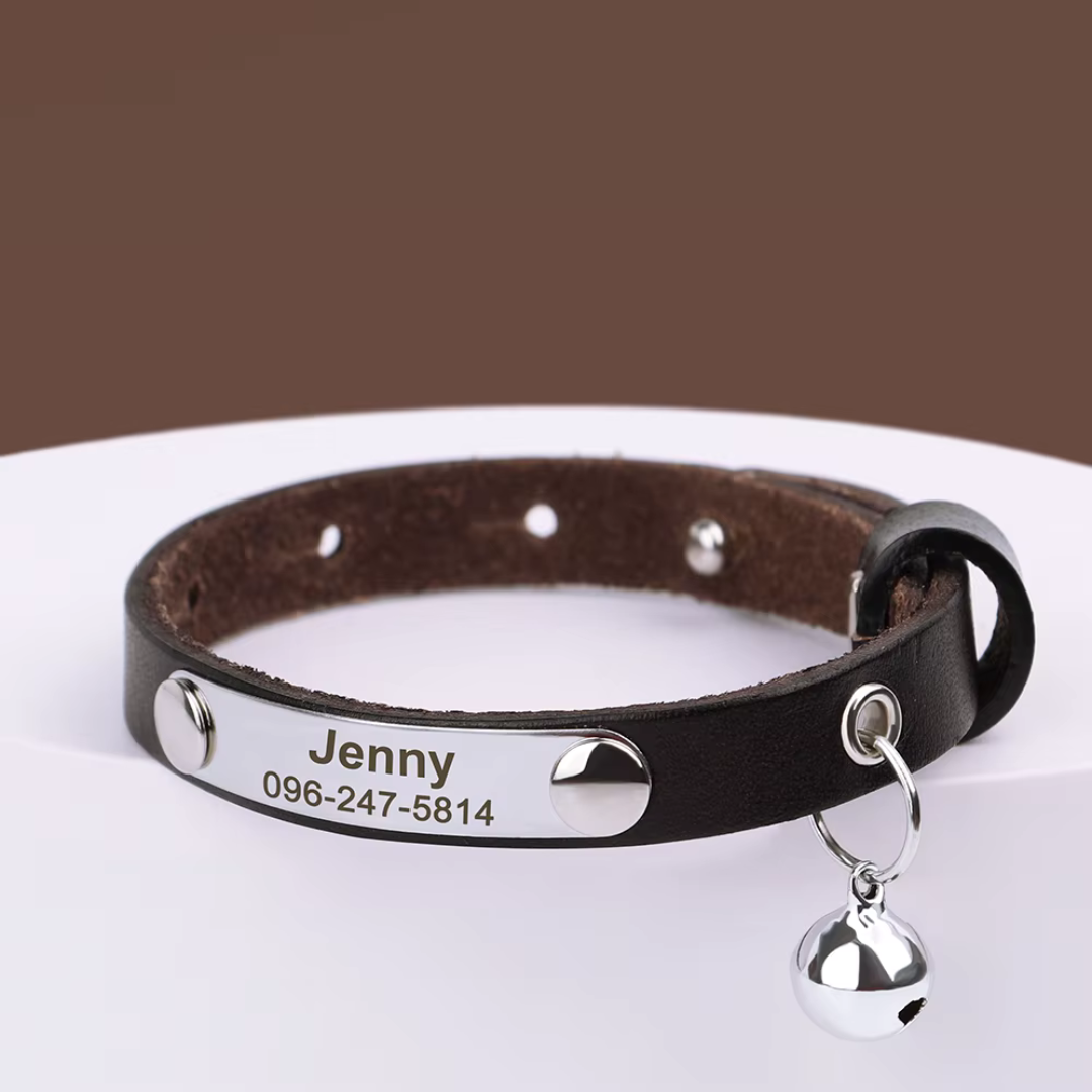 Collier cuir pour chat personnalisable