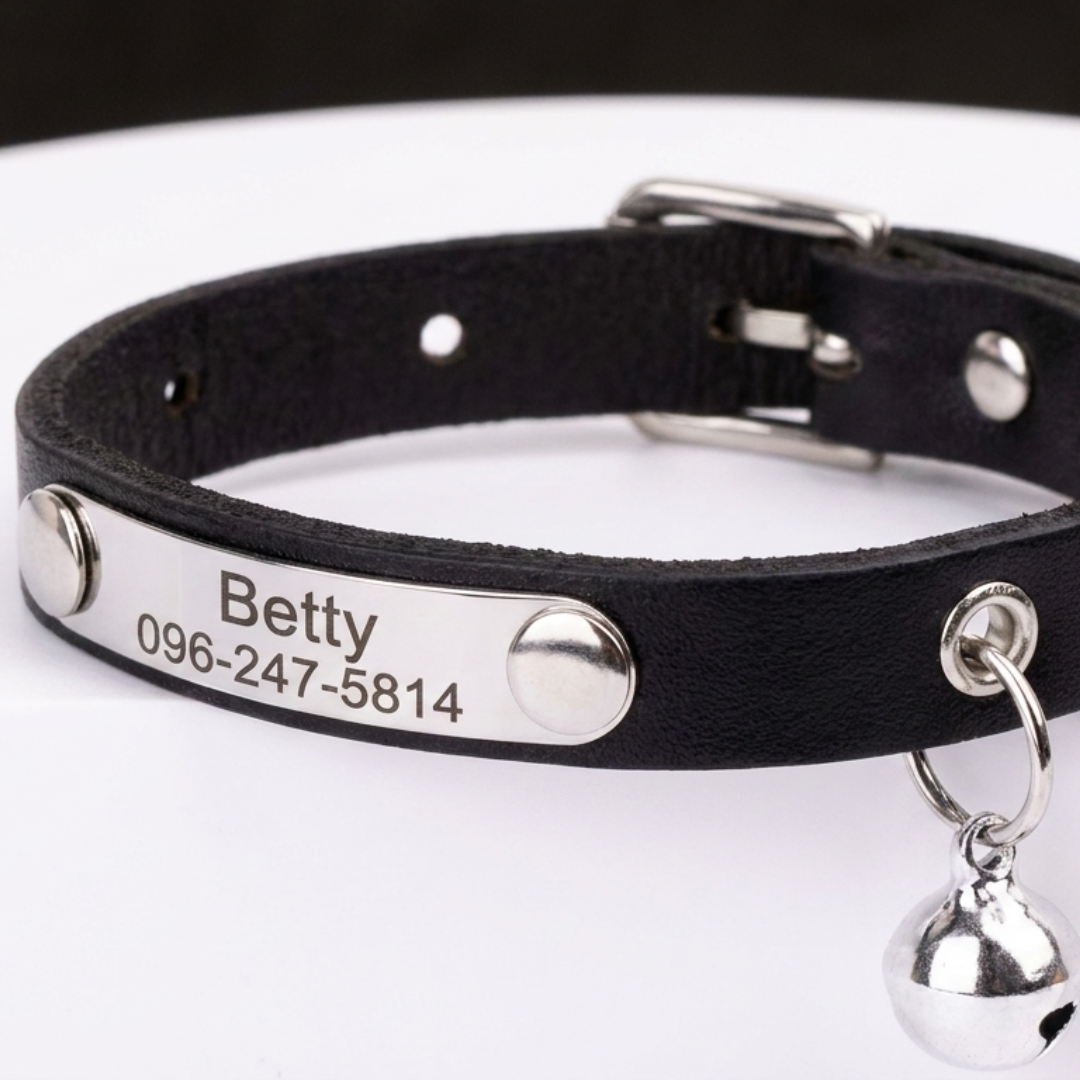 Collier cuir pour chat personnalisable