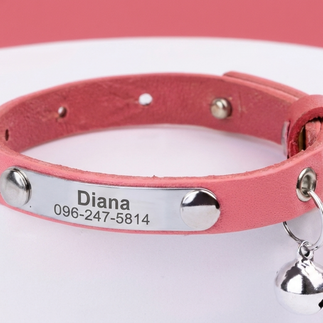 Collier cuir pour chat personnalisable