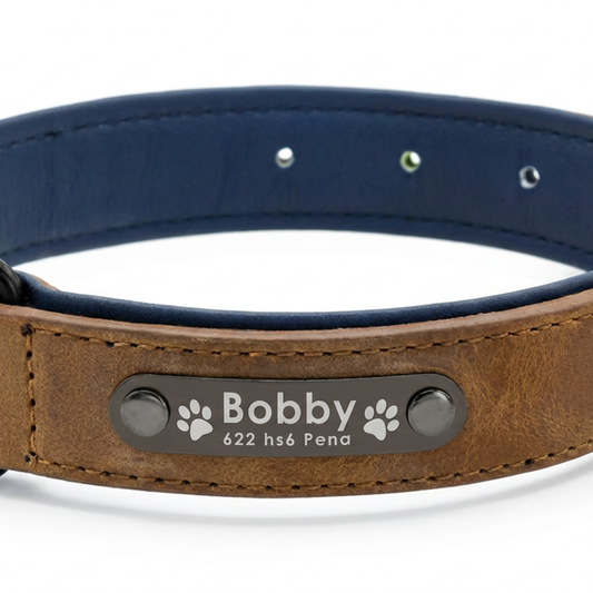 Collier cuir pour chien personnalisable